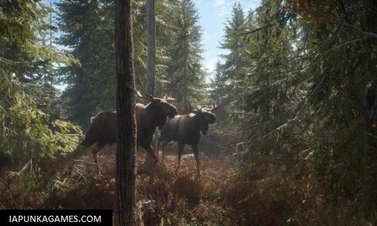 TheHunter: Call of The Wild Screenshot 1, Full Version, PC Game, Download Free