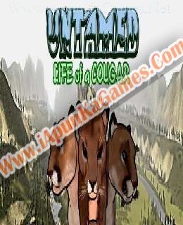 Untamed Life Of A Cougar Free Download