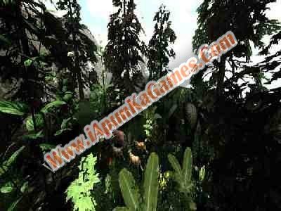 Untamed Life Of A Cougar Free Download Screenshot 2