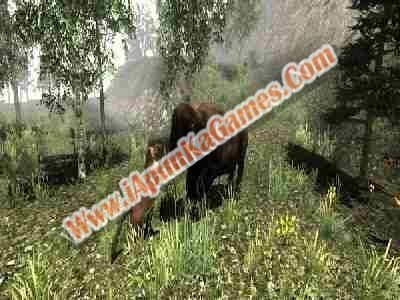 Untamed Life Of A Cougar Free Download Screenshot 3