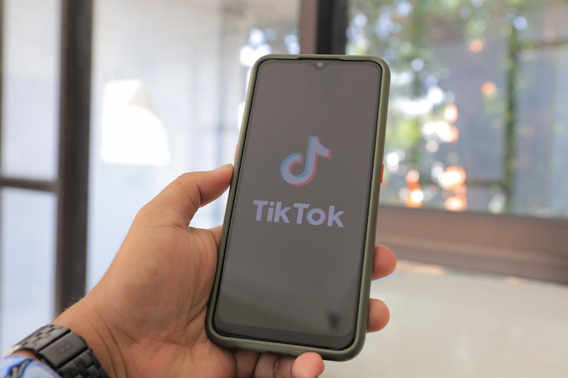 TikTok Downloader